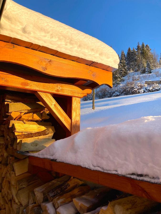 Luxury Chalet Katarinka, Belianske Tatry Osturna Extérieur photo